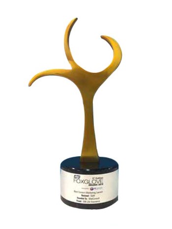 Foxglove Awards 2019