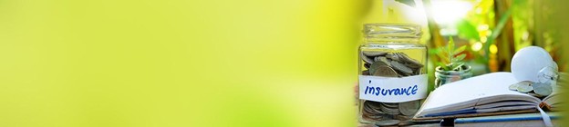 Life Insurance Basics