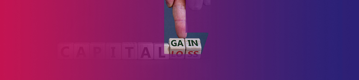 What Is Wealth Insurance Plans 