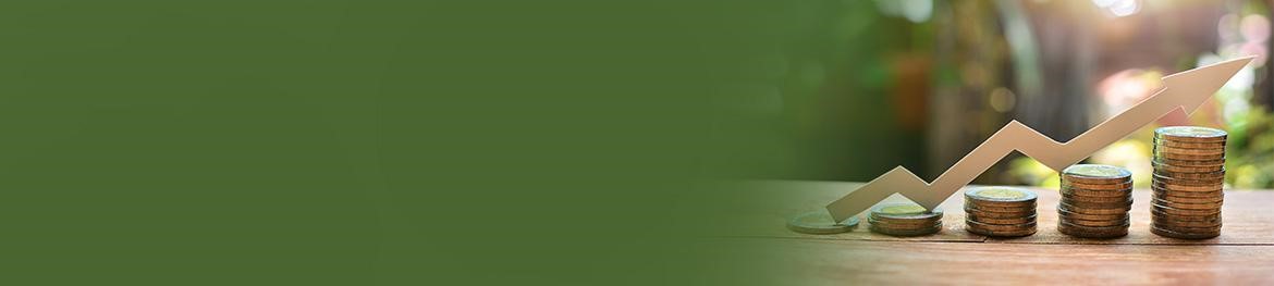 Myths of Term insurance - Banner Image