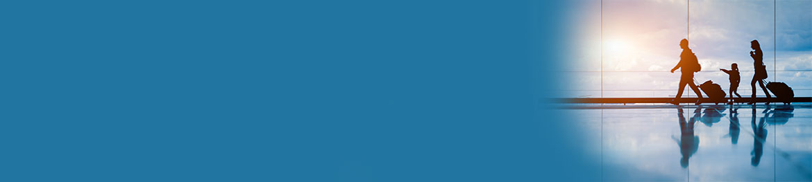 Term insurance for NRI - Banner Image