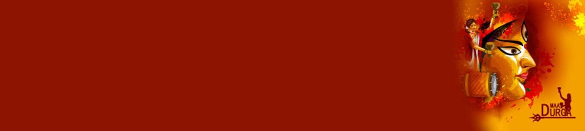 Durga party celebration - Banner Image