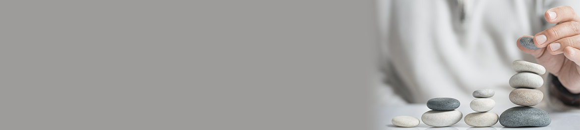 Life Stage Benefit Option - Banner Image