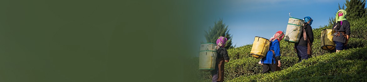 Top 15 Government Schemes - Banner Image