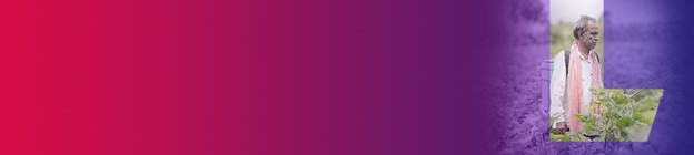 Pradhan Mantri Vaya Vandana Yojana (PMVVY) - Banner Image