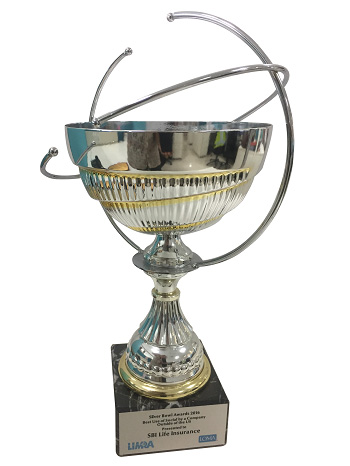 LIMRA and LOMA Social Media Silver Bowl Awards 2016