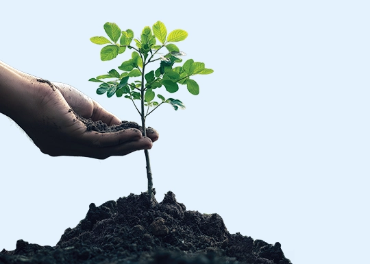 Natural Capital
